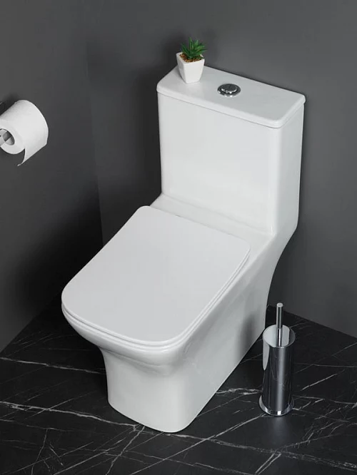 Фото Унитаз моноблок BelBagno Neon BB8617CPR-MN/SC безободковый купить в Донецке: цена, описание, фото. Интернет-магазин 1